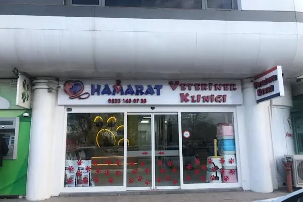 Hamarat Veteriner Kliniği Otogar - Resim 19