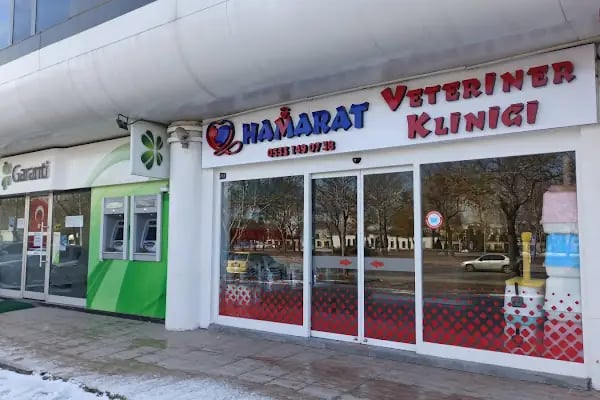 Hamarat Veteriner Kliniği Otogar - Resim 8