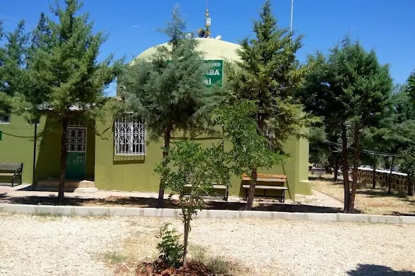 Çavuş baba Türbesi - Resim 4