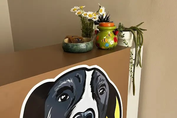 Willy’s Pet 🌼 Groomer Antalya 🌼 - Resim 7