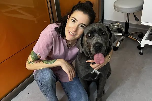 Willy’s Pet 🌼 Groomer Antalya 🌼 - Resim 20