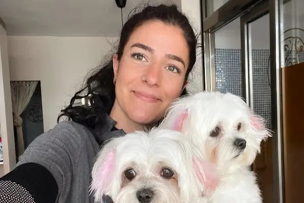 Willy’s Pet 🌼 Groomer Antalya 🌼 - Resim 9