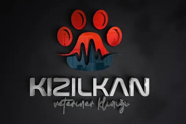 Kızılkan Veteriner Kliniği - Konya Yazır - Resim 4