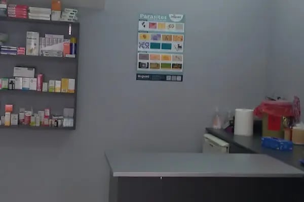Akdere Veteriner Kliniği - Resim 13