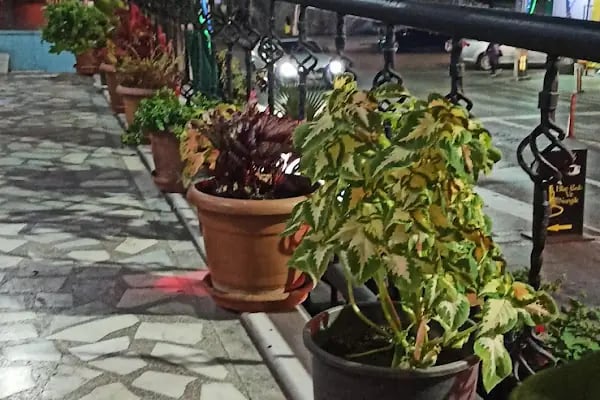 Blue Cafe Ve Nargile - Resim 12
