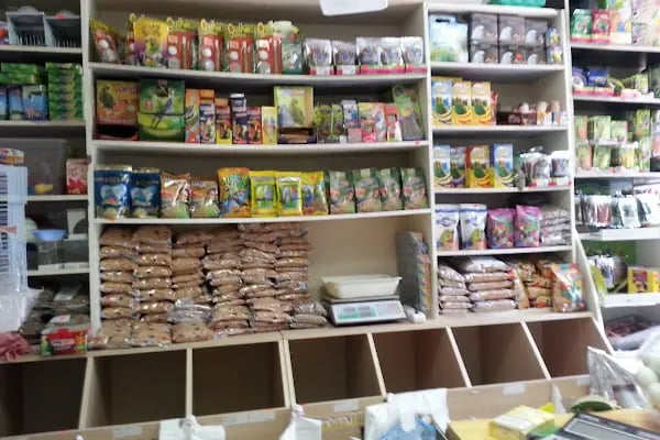 Yağmur Akvaryum Petshop Yenimahalle - Resim 2