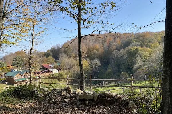 Aytepepark Turistik Tesisleri - Resim 12