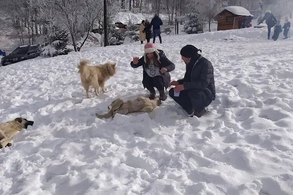 Aytepepark Turistik Tesisleri - Resim 8