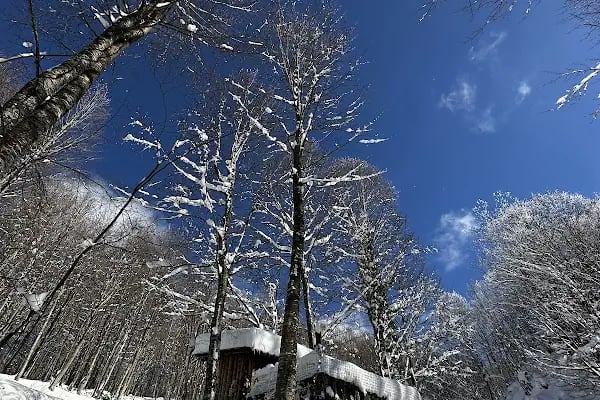Aytepepark Turistik Tesisleri - Resim 11