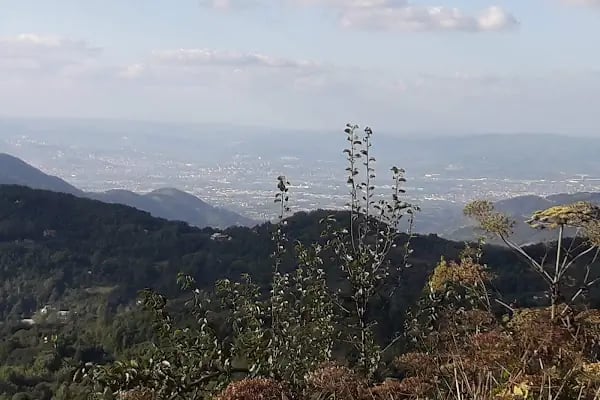 Aytepepark Turistik Tesisleri - Resim 5