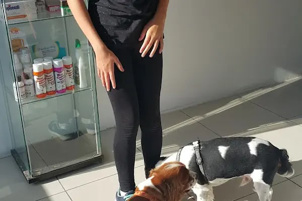 Pruva Veteriner Kliniği - Resim 7