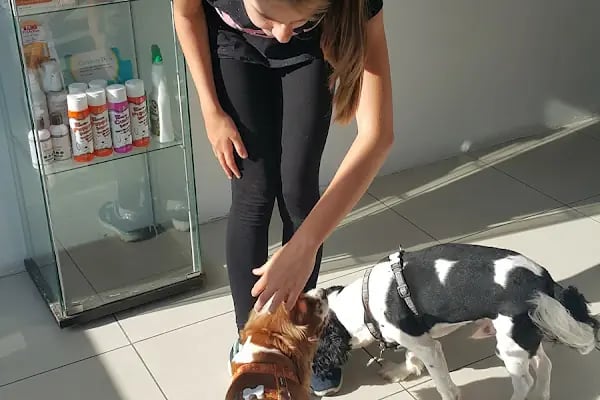 Pruva Veteriner Kliniği - Resim 1