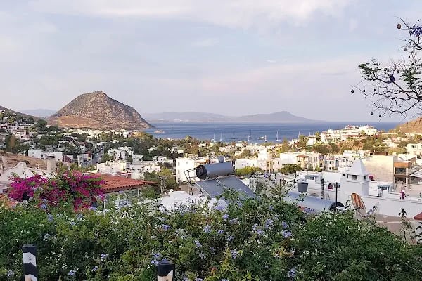 Modin 2 Sitesi - Resim 2