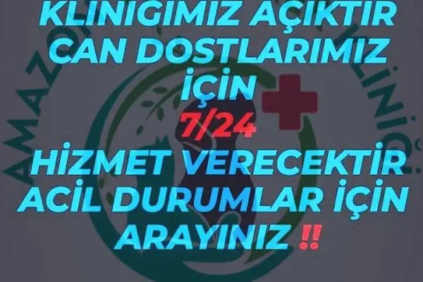 Amazon Veteriner Kliniği Kahramanmaraş - Resim 10