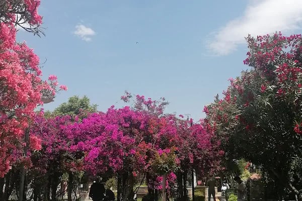 Munchen Pansiyon - Resim 13