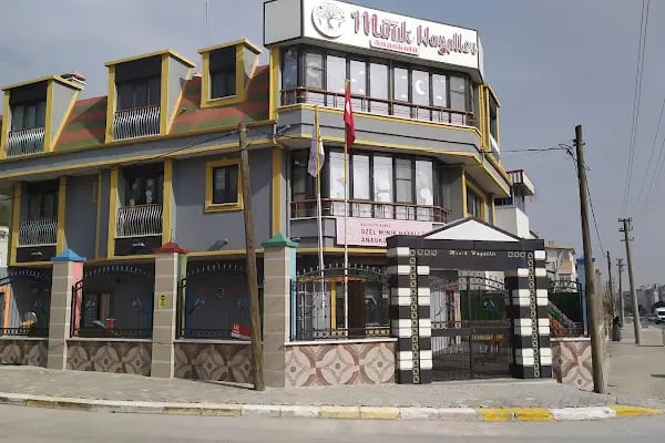 Özel Minik Hayaller Anaokulu - Resim 1