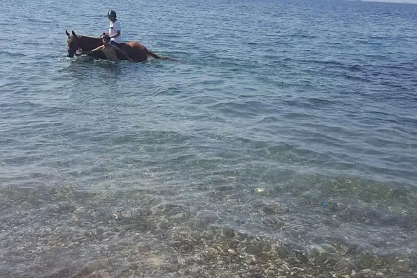 Yahşi Batı At Çiftliği ve Kahvaltı Yeri - Resim 20