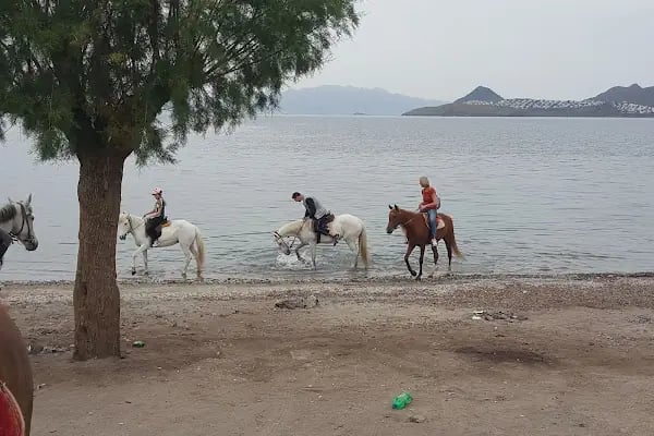 Yahşi Batı At Çiftliği ve Kahvaltı Yeri - Resim 18