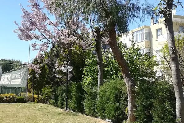 Agamemnon Kafe - Resim 11