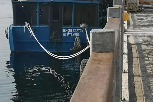Behçet Kaptan Balık Ekmek - Resim 13
