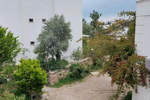 Melisa Villas Oasis - Resim 8