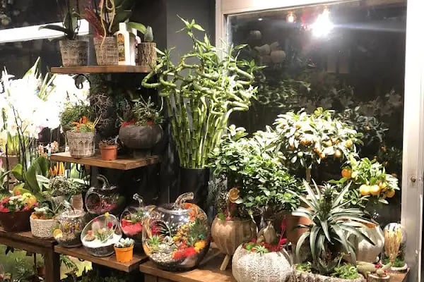 Trend Florist - İstanbul Çiçekçi - Flower Shop - Resim 19