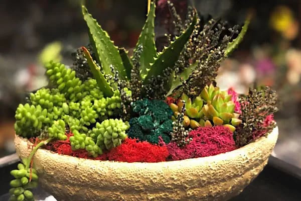 Trend Florist - İstanbul Çiçekçi - Flower Shop - Resim 12