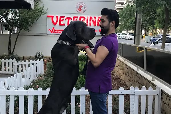 Ateş Veteriner Kliniği - Resim 10