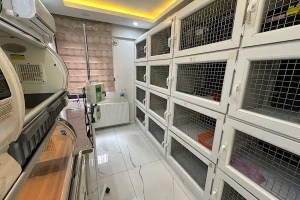 Ateş Veteriner Kliniği - Resim 5