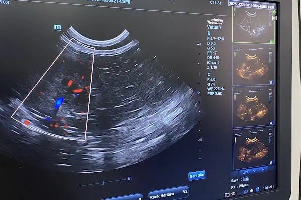 Ateş Veteriner Kliniği - Resim 8