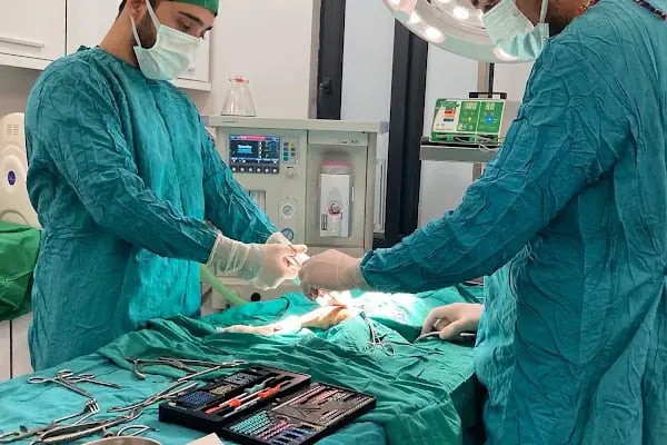 Ateş Veteriner Kliniği - Resim 3