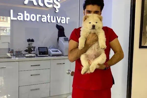 Ateş Veteriner Kliniği - Resim 9
