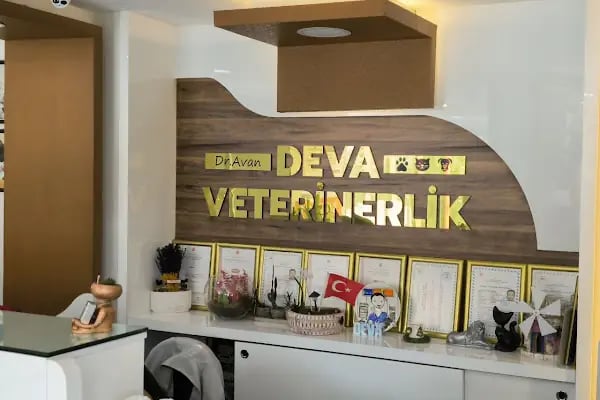 Deva Veteriner Tıp Merkezi / ADANA - Resim 10