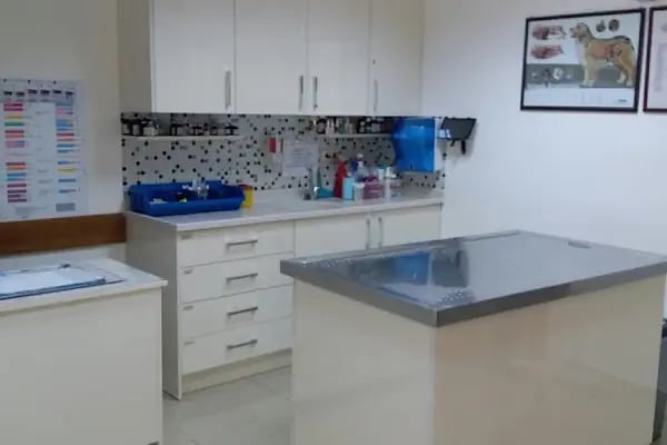 Deva Veteriner Tıp Merkezi / ADANA - Resim 4