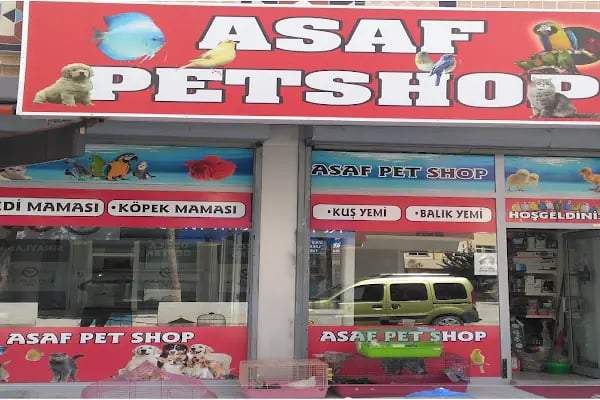 asaf pet shop - Resim 6