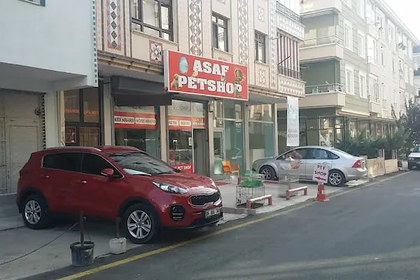 asaf pet shop - Resim 5