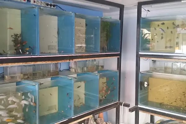 asaf pet shop - Resim 2