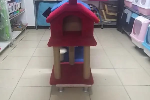 asaf pet shop - Resim 3