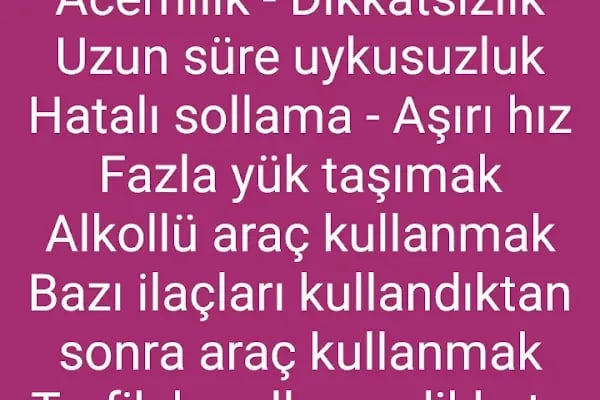 Özel Direksiyon Dersi aydın kaya - Resim 14