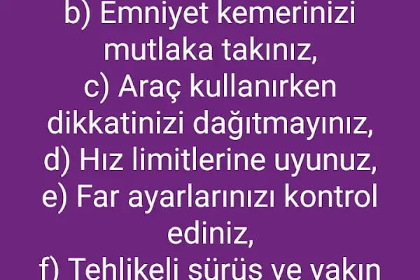 Özel Direksiyon Dersi aydın kaya - Resim 13