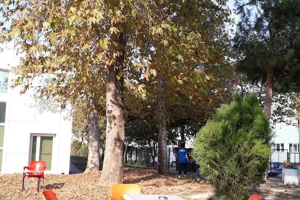Bursa Osmangazi Çok Amaçlı Spor Salonu - Resim 2