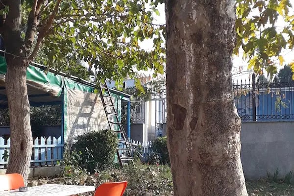Bursa Osmangazi Çok Amaçlı Spor Salonu - Resim 4