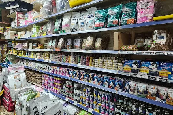 Akdeniz AKVARYUM Petshop - Resim 3