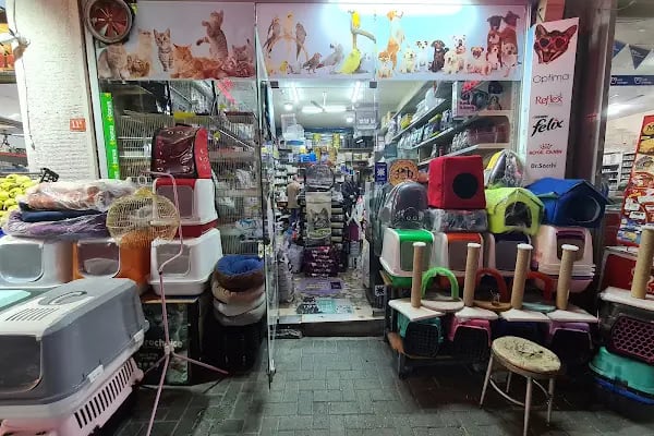 Akdeniz AKVARYUM Petshop - Resim 1