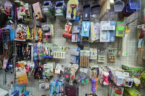 Akdeniz AKVARYUM Petshop - Resim 4