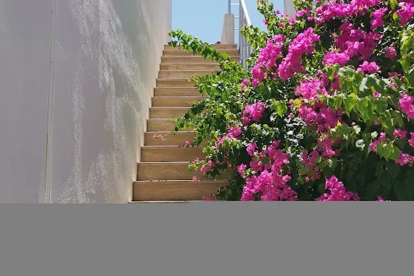 Brothers Production - Bodrum Reklam Ajansı - Resim 4