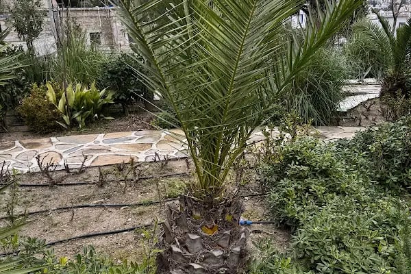 Halikarnas Balıkçısı Müzesi - Resim 15