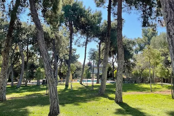 Woodland Regency - Resim 4