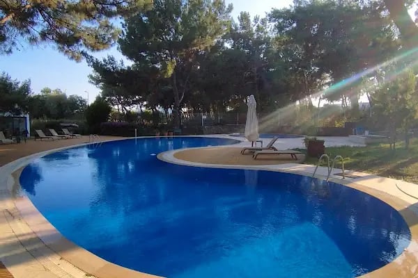 Woodland Regency - Resim 6