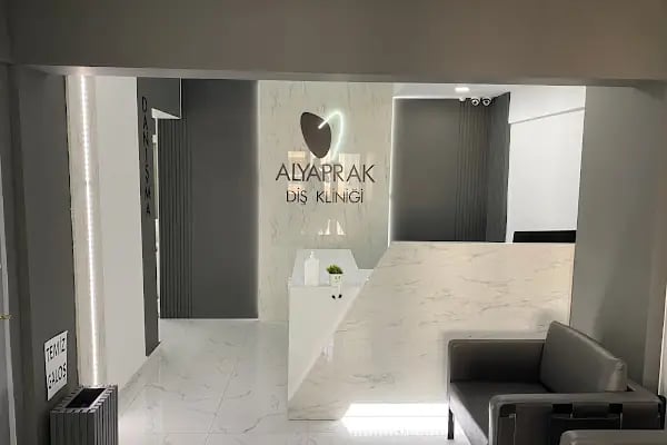 Nurhanım - Muhammed Emin Alyaprak - Resim 1